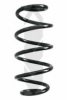 SPIDAN 86842 Coil Spring